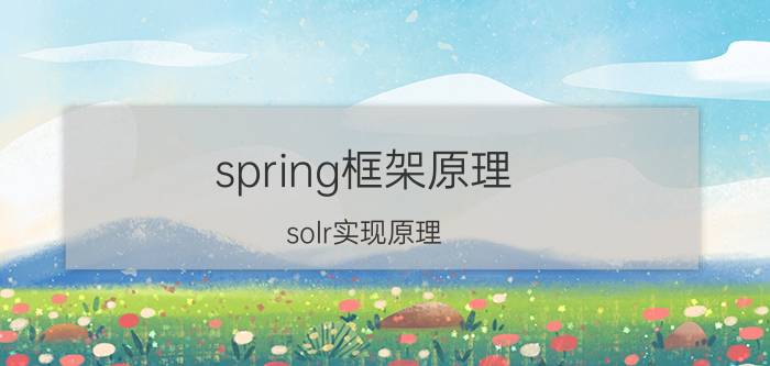 spring框架原理 solr实现原理，为什么用solr？